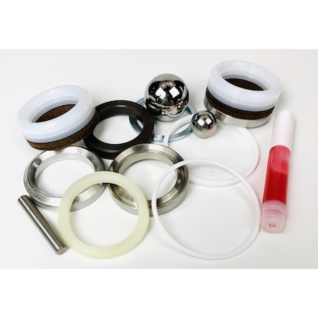 Bedford Precision Parts Bedford Precision Repair Kit for GM7000 - Replacement for Graco 236-564 20-2258